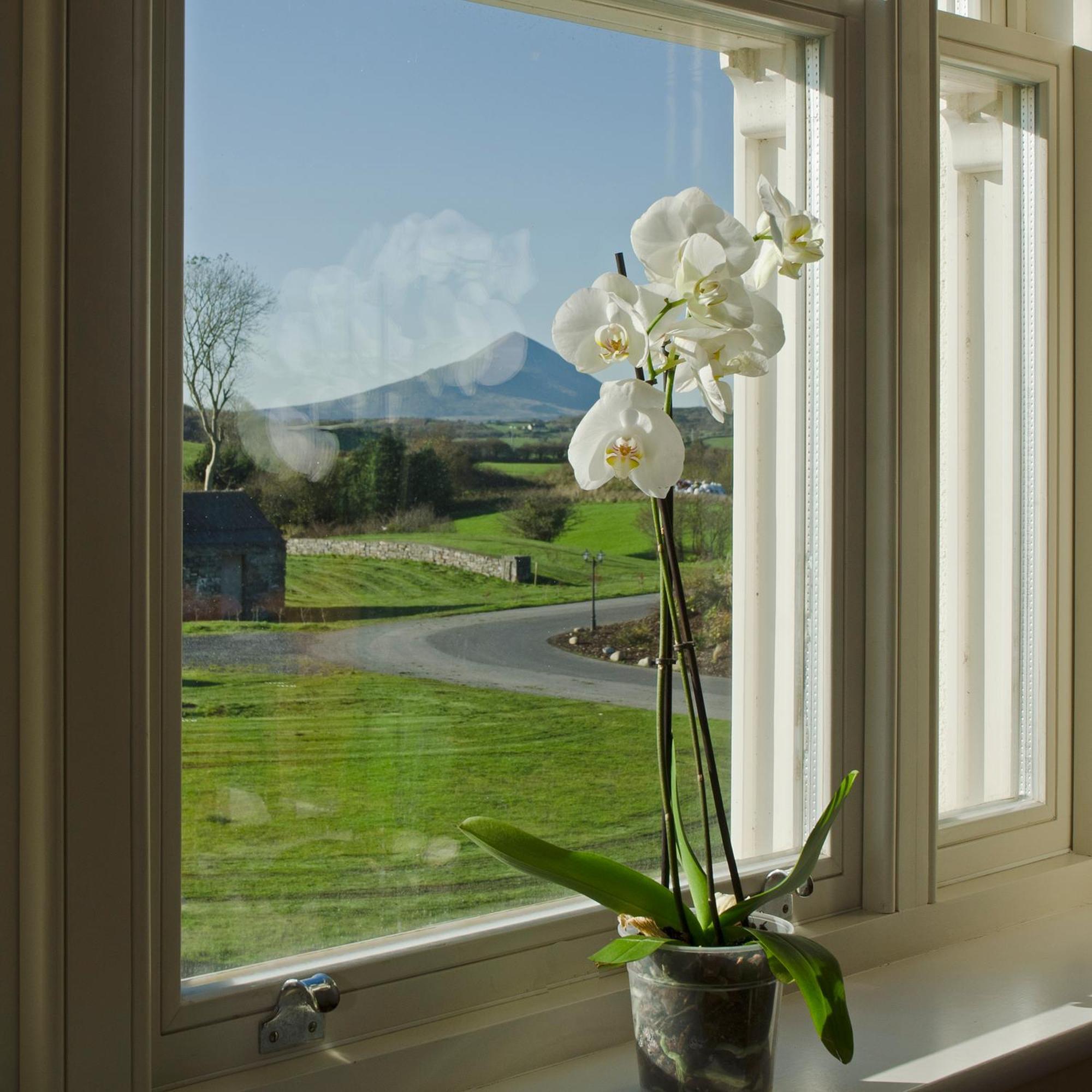 Westport Country Lodge Hotel Eksteriør billede